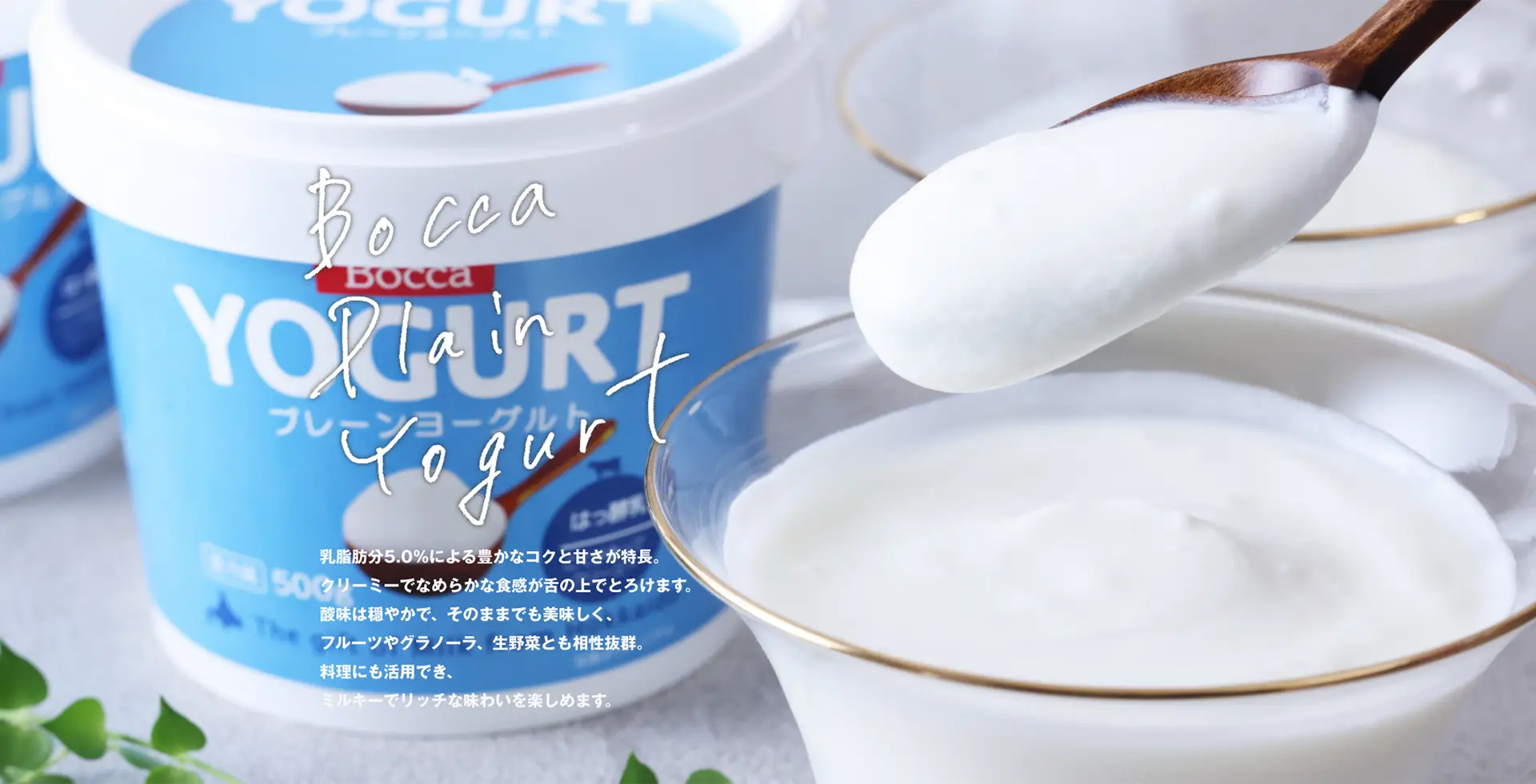 ミルキーでリッチな味わい 牧家 プレーンヨーグルト